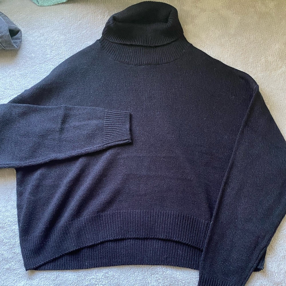 Cropped Turtleneck Sweater